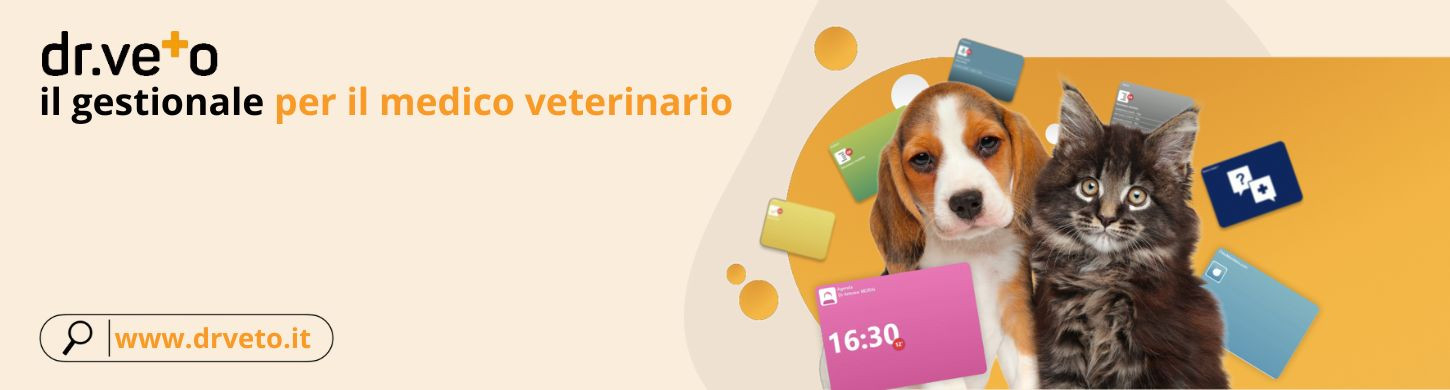 Scopri le funzionalità